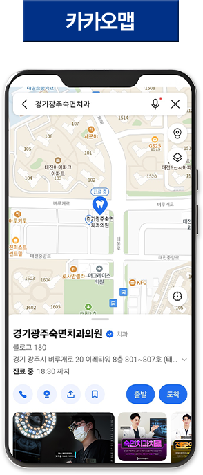 카카오맵
