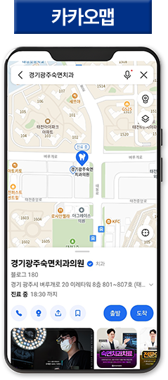 카카오맵