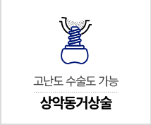 상악동거상술
