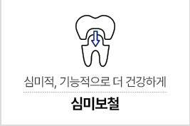 심미보철